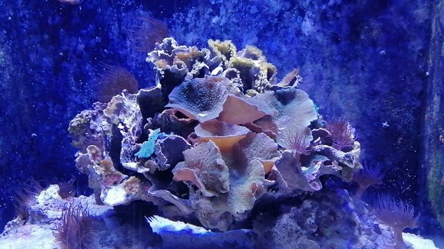 بعض المعروضات داخل المتحف