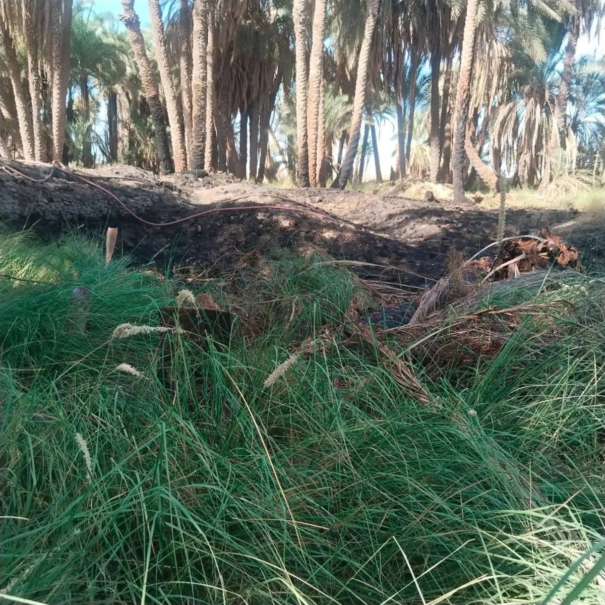 حريق الحشائش بجوار معبد موت الآثري 