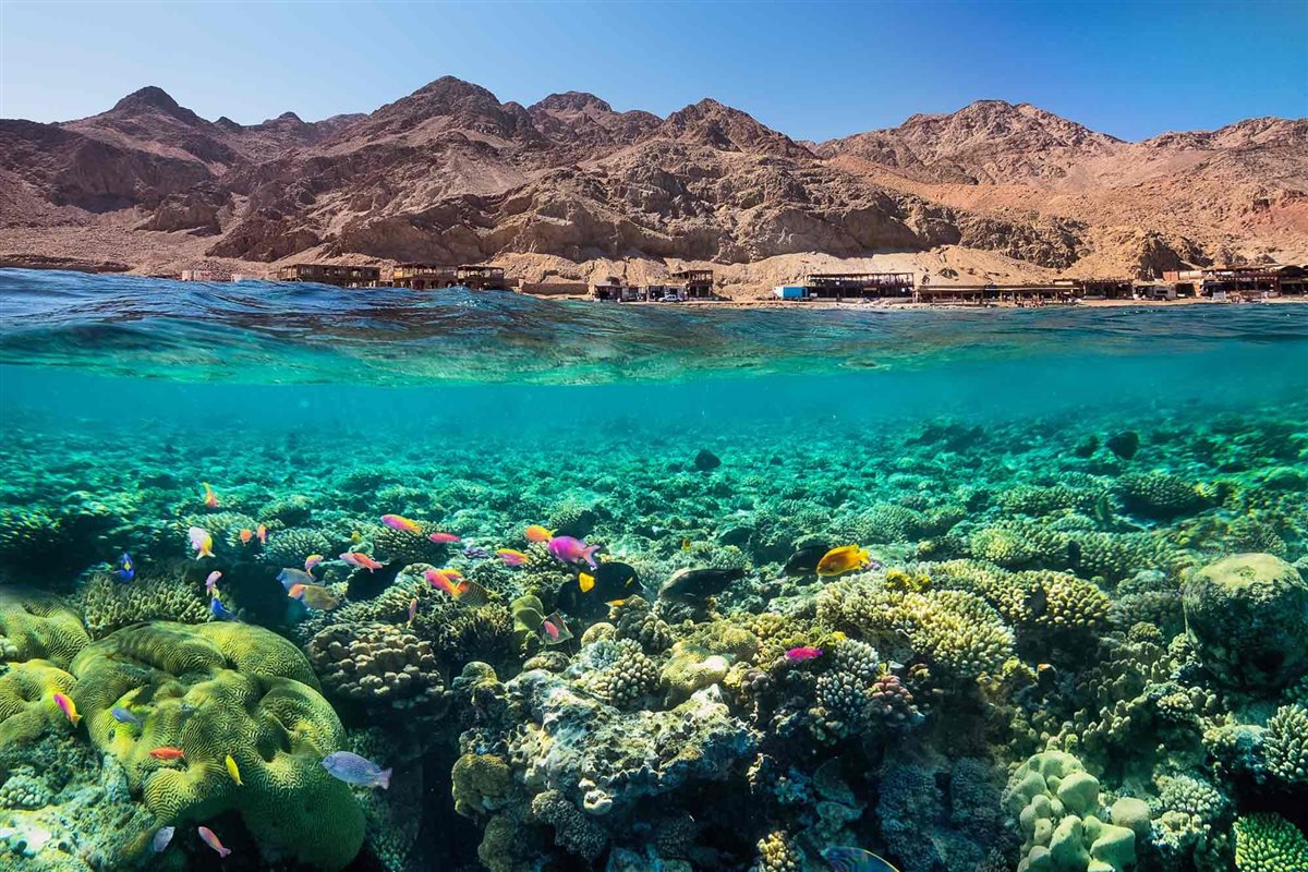 البحر الأحمر