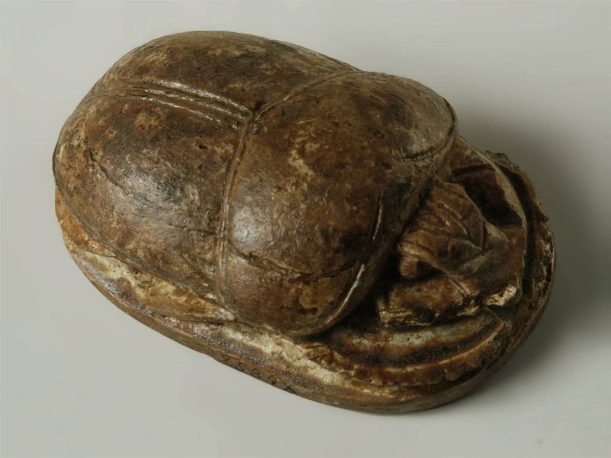 الجعارين الملكية&nbsp;