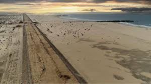 سواحل الدلتا&nbsp;