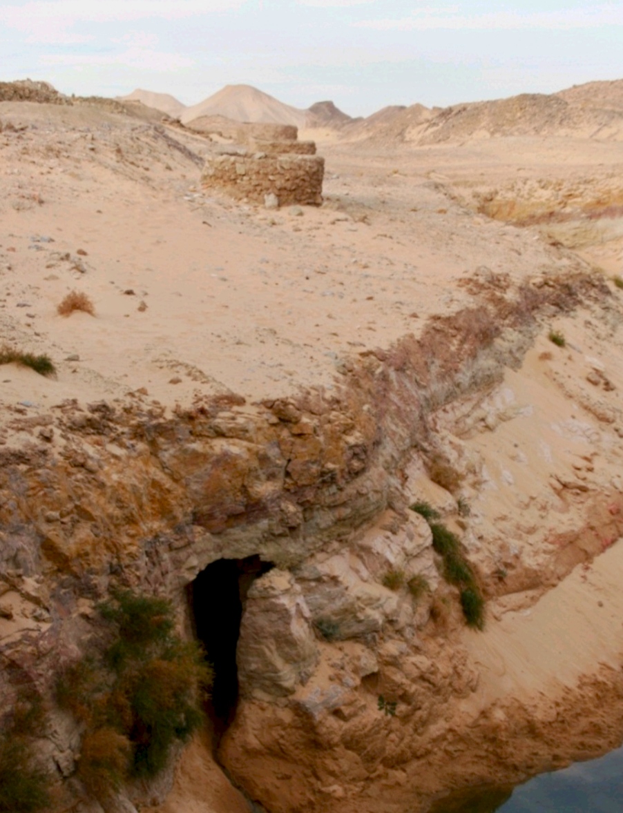 الواحات البحرية
