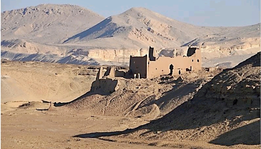 الواحات 1