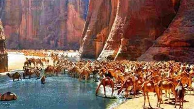 وادي الجمال .. محمية مصرية تخطف الأنفاس وتحتضن سحر الطبيعة البكر