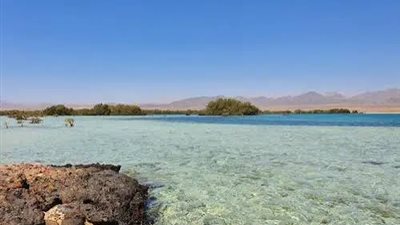 جنة طبيعية على خليج العقبة.. محمية نبق تكشف أسراره