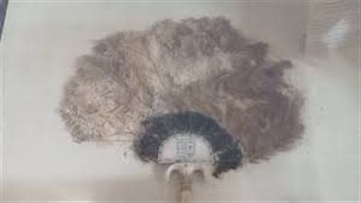 مروحة النعام.. نسمة من ذهب في قاعة الملك توت عنخ آمون بالمتحف الكبير 