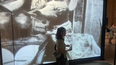 سينما المتحف الكبير تنطلق رسميًا.. وعروض وثائقية تبهر الزوار في اليوم الأول