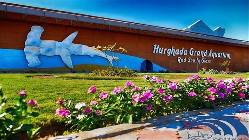 متحف الكائنات البحرية