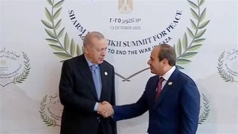 استقبال الرئيس عبد