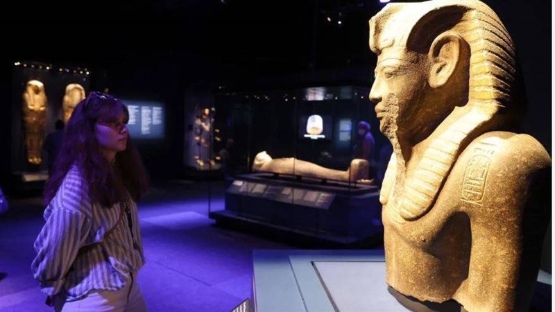 صورة توضحية 