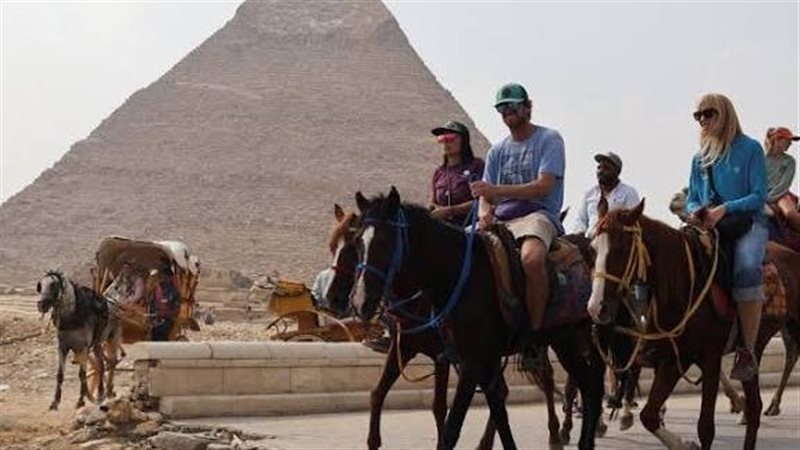 قطاع السياحة 