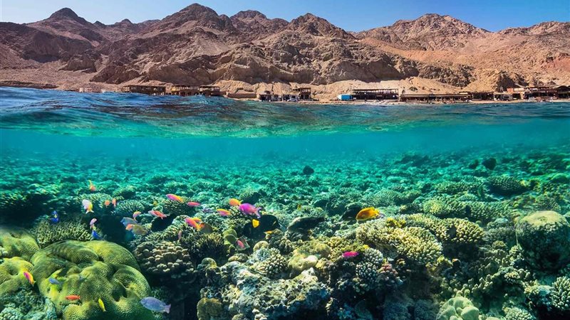 البحر الأحمر