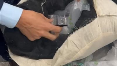 التفاصيل الكاملة لضبط أكبر محاولة لتهريب مخدر الحشيش بمطار القاهرة (صور)
