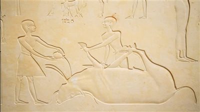 أسرار تابوت زوجة الملك منتوحتب الثاني تعود للحياة في المتحف المصري