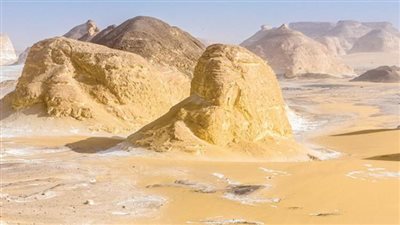 خبير: السياحة العلاجية في مصر تجذب المرضى من الخليج وأوروبا وأفريقيا