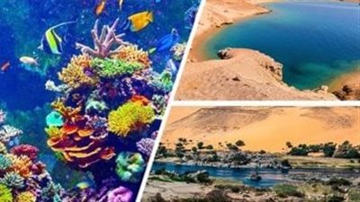 تعرف على 13 محمية طبيعية سيتم تطويرها لتصبح وجهات سياحية عالمية 