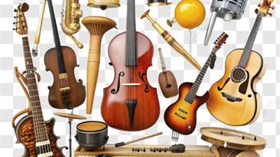 الجيتار والعود..شروط حمل الالات الموسيقيه على متن الطائرة