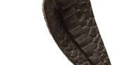 وادجيت في هيئة أسد… حين تغيّر الرمز ليحمي الدولة