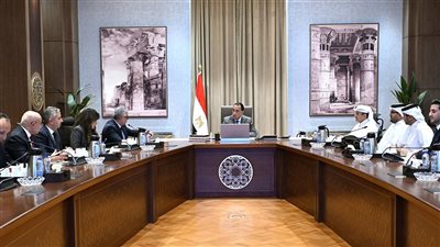 الحكومة: إنشاء مصنع لإنتاج وقود الطائرات المستدام من زيت الطعام