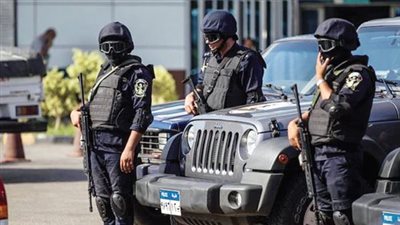 776 قضية تنقيب وحيازة آثار ومخالفات شركات سياحية في 4 أيام