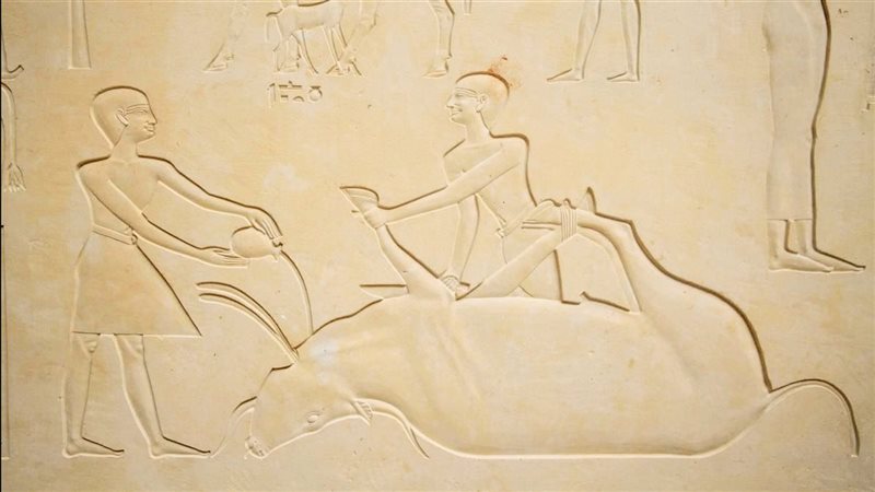 القطعة الأثرية 