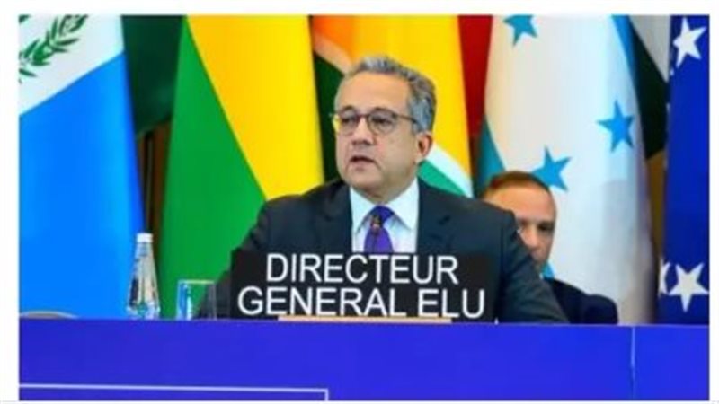 خالد العنانى