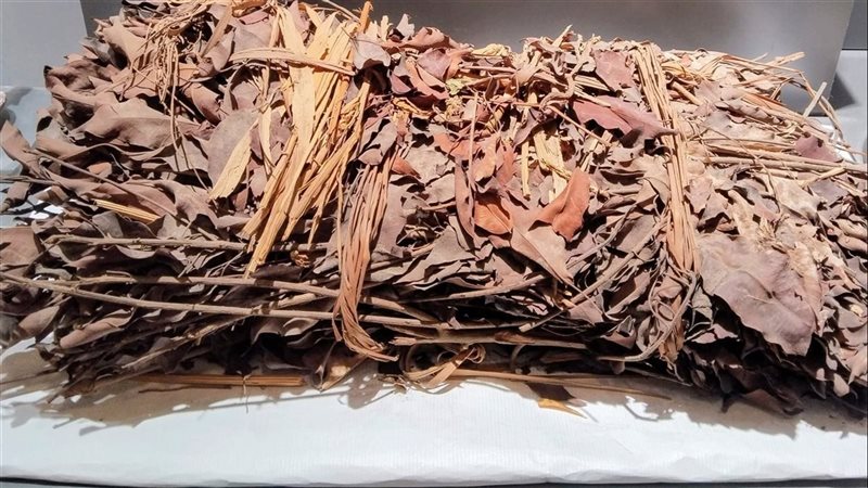 القطعة الأثرية 