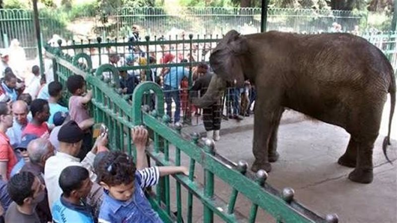 حديقة الحيوان 