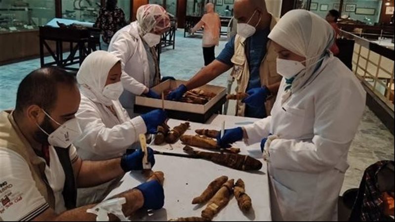 المومياوات 