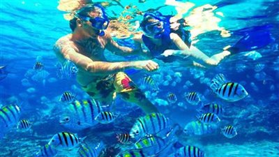 الجفتون.. كيف تحولت جزيرة طبيعية إلى أيقونة السياحة البحرية في الغردقة