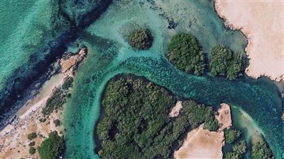 جزيرة أبو منقار.. وجهة السياحة الهادئة في البحر الأحمر