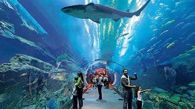 الأكواريوم بالغردقة.. السياحة التعليمية كرافد جديد للاقتصاد السياحي