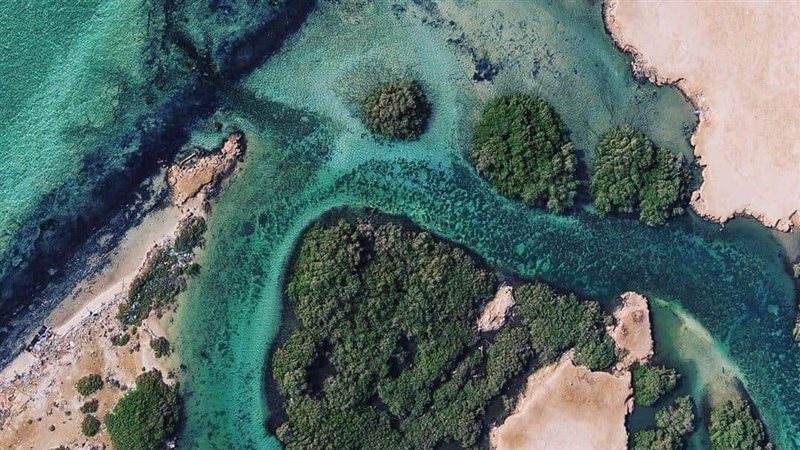 جزيرة أبو منقار