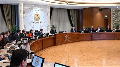 رئيس الوزراء: نسعى لمضاعفة أسطول مصر للطيران لمواكبة النمو