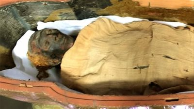 إرث عائلة غيرت تاريخ مصر.. المتحف المصري يعرض مومياء تويا والملكة تي