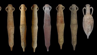 9700 شوكة.. الآثار تكشف أسرار صناعة السمك المملح في غرب الدلتا