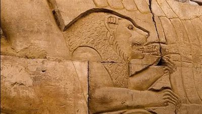 أسد البطالمة يبتلع العدو.. اكتشاف نقش جداري فريد في معبد كوم أمبو