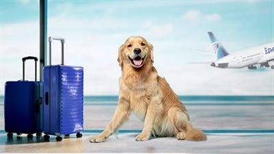 شروط خاصة لحمل الحيوانات الأليفة على متن الطائرة 