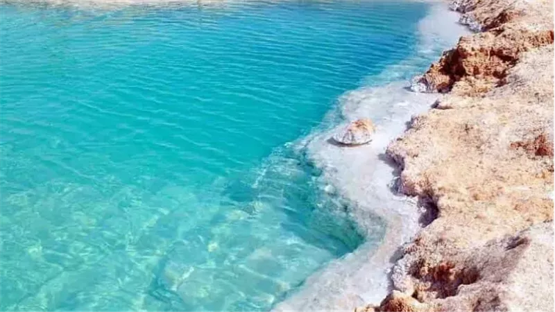 السياحة البيئة 