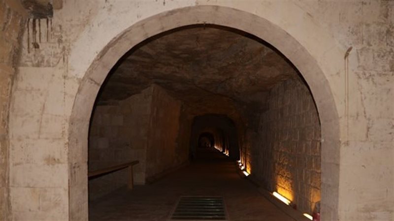 السيرابيوم