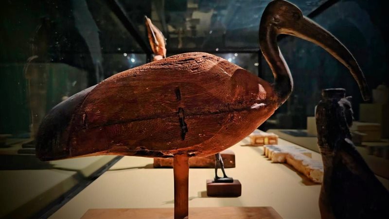 القطعة الأثرية 