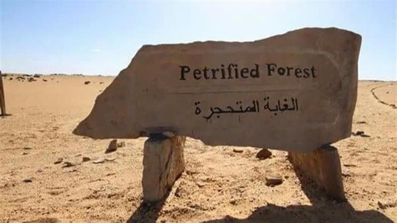 محمية الغابة المتحجرة