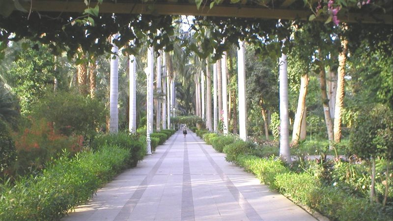 الحديقة النباتية