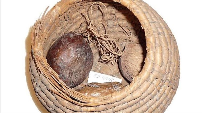 الدوم في مقابر سقارة 