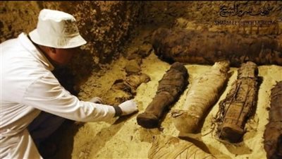 الأثري المصري.. حارس الذاكرة الوطنية وشريك أساسي في صناعة المستقبل