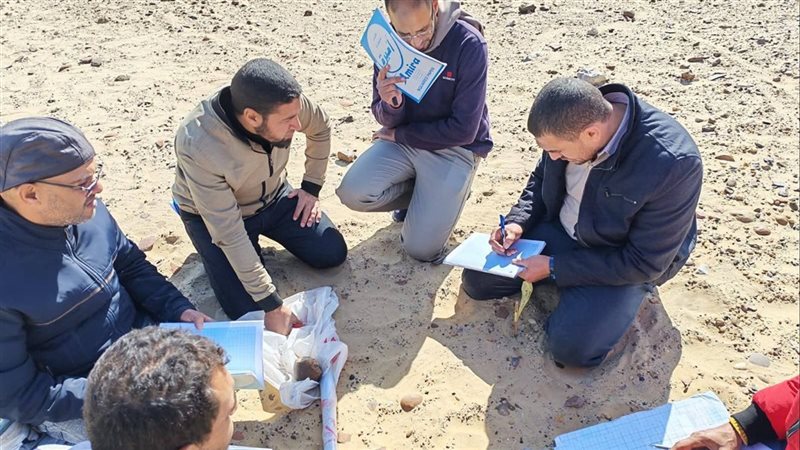 جانب من الآثار 