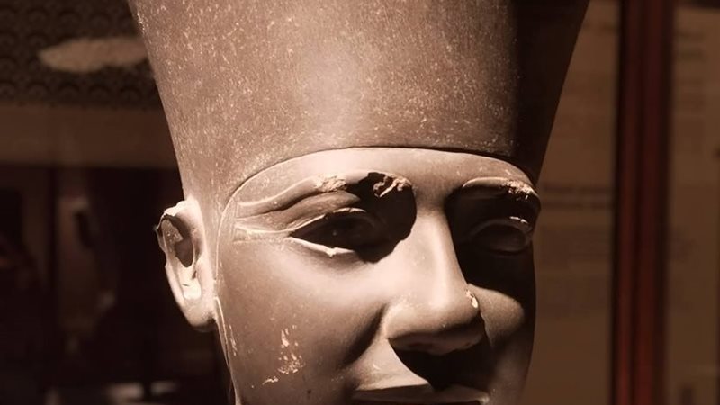 الملك وسركاف رائد