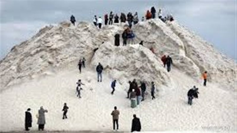 سياحة فى بورفؤاد