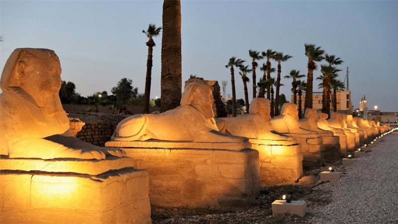 طريق الكباش 