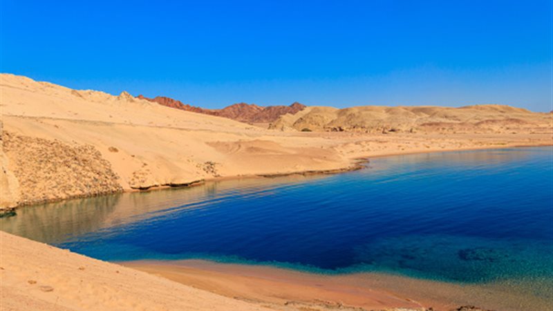 محمية رأس محمد